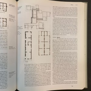 ENCYCLOPEDIA OF VERNACULAR ARCHITECTURE OF THE WORLD 