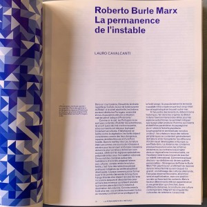 Roberto Burle Marx / La modernité du paysage 