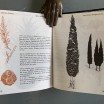 L'art de connaître et dessiner les arbres. Jacques Simon