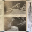 Jacques Simon / routes plantées 