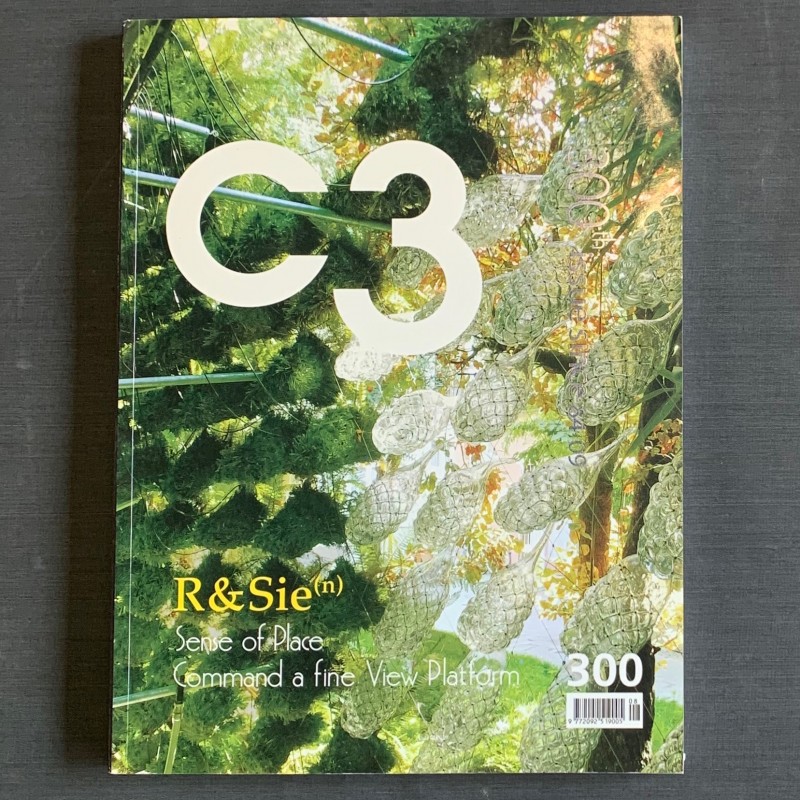 R&Sie(n) / C3 n° 300 de 2009