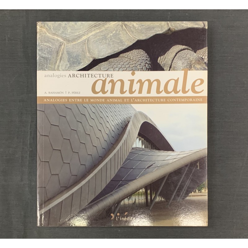 Architecture animale / analogies