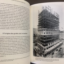 Histoire naturelle de l'architecture / Philippe Rahm.