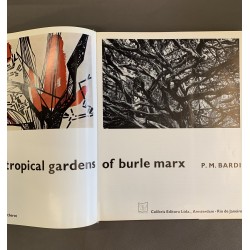 The tropicals gardens of Burle Marx.