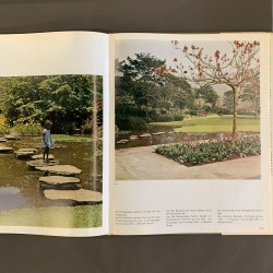 The tropicals gardens of Burle Marx.