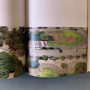 Roberto Burle Marx / La modernité du paysage 