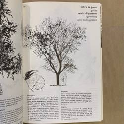 Jacques Simon / l'art de connaitre et dessiner les arbres.