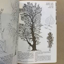 Jacques Simon / l'art de connaitre et dessiner les arbres.