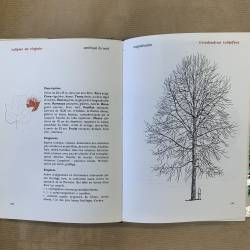 Jacques Simon / l'art de connaître les arbres.