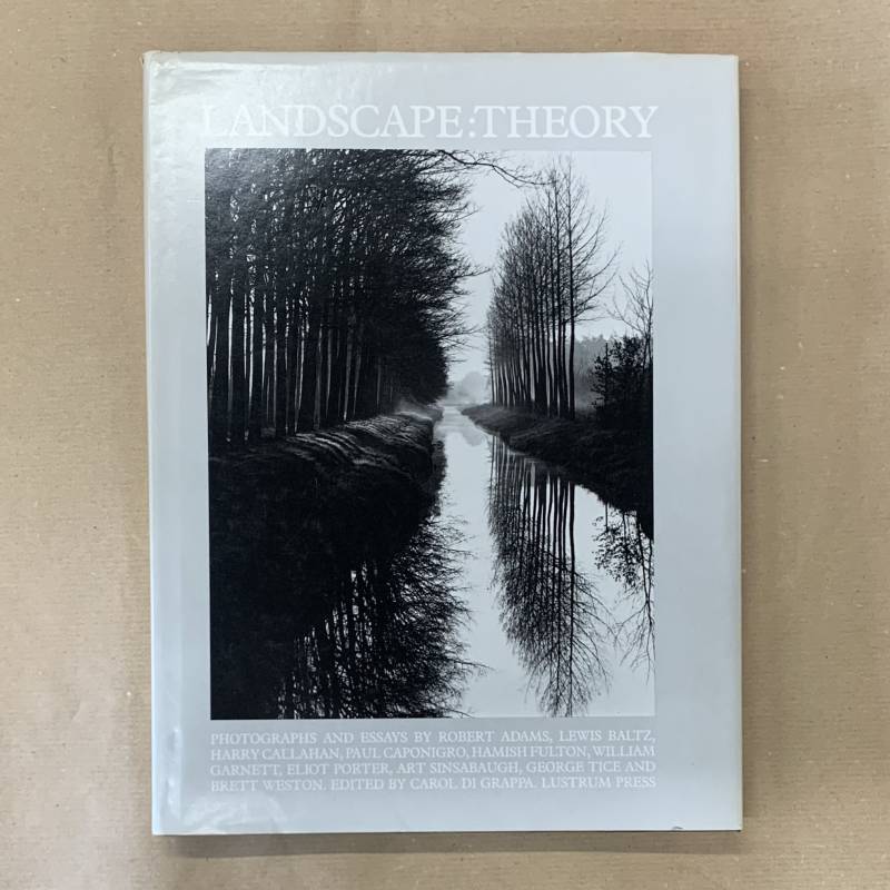 Landscape : Theory.