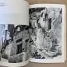 Stone shelters / Edward Allen.