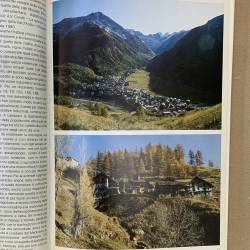Case contadine in Valle d'Aosta / Luigi Dematteis.