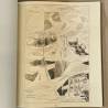 Bruno Taut / architecture alpine.