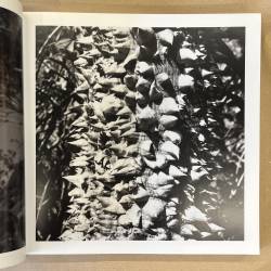 Marcel Gautherot e seu tempo / o olho fotografico.