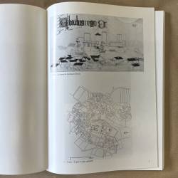 Chateaux, villages et villes d'Auvergne au XVe siècle.
