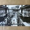 Lina Bo Bardi / Teatro oficina 1980-1984.