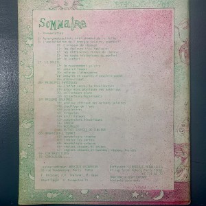 La face cachée du soleil / Bricolo lézardeur 1974 