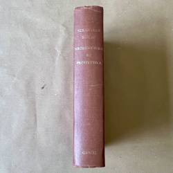 Sebastiano Serlio / Architettura e prospettiva.