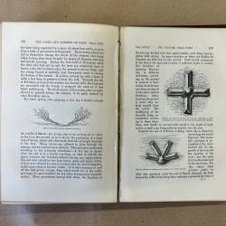 Parks and gardens of Paris / Robinson 1883