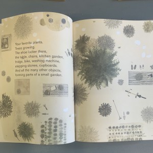 Junya Ishigami / freeing architecture 