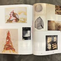 TABOO / Perspecta 43.