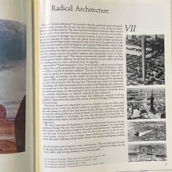 Andrea Branzi / The hot house.