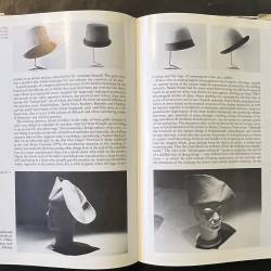 Andrea Branzi / The hot house.