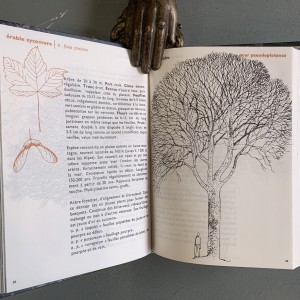 L'art de connaître et dessiner les arbres. Jacques Simon