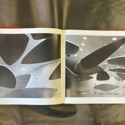 Carlos Raul Villanueva / un moderno en sudamérica