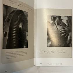 In a cloud / in a wall / in a chair / six modernists in Mexico Midcentury.