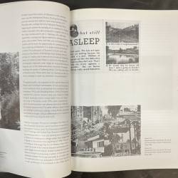 The architecture of landscape 1940-1960.