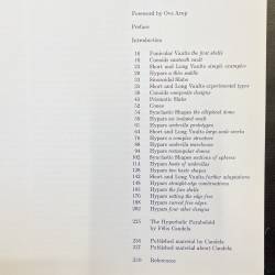 Candela / the shell builder.