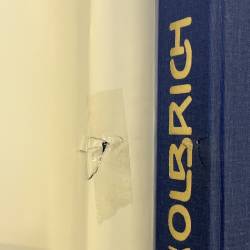 Joseph Maria Olbrich / architecture.