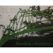 IL 31 Bambus / Bamboo