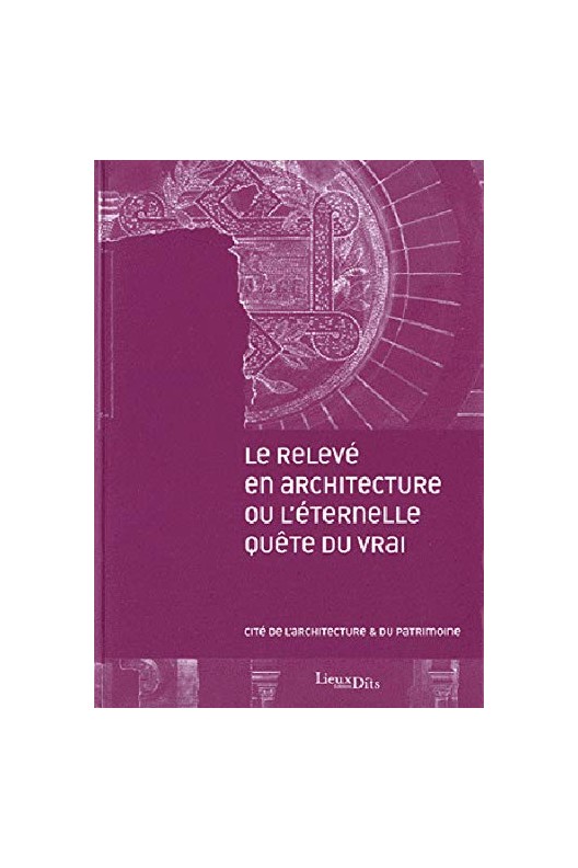 Le relevé en architecture ou l'éternelle quête du vrai  