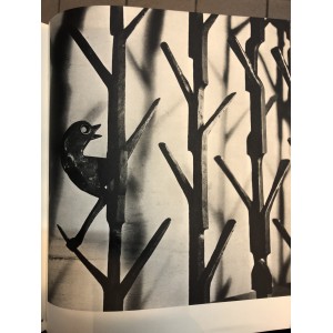 Compositions en noir et blanc / Fritz Kühn 