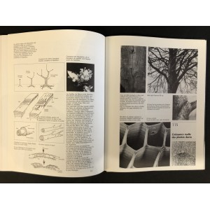 Otto Frei / Architecture et bionique, constructions naturelles.