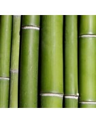 Terre - Paille - Bamboo